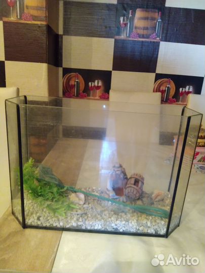 Аквариум