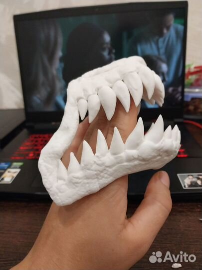 Намордник для собак