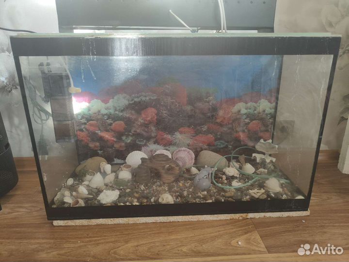 Аквариум