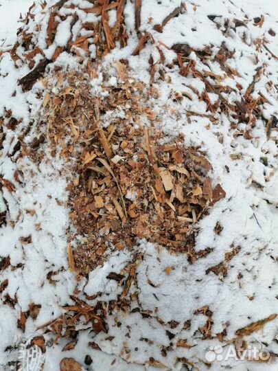 Кора сосны мульча