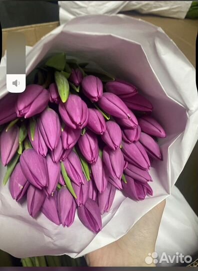 Букет из тюльпанов