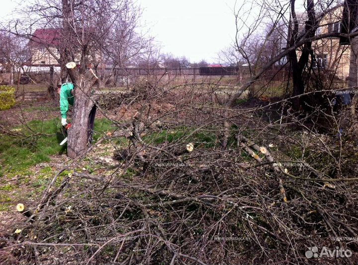 Расчистка участка от деревьев и кустарников