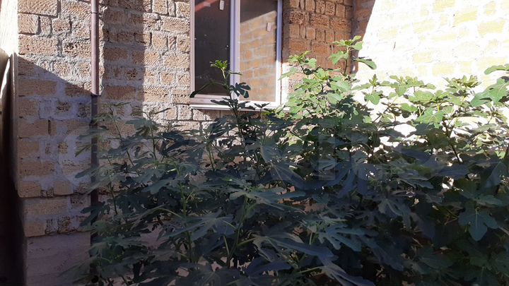 Дом 220 м² на участке 7,3 сот.