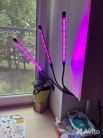 Фитолампа для растений светодиодная