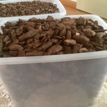 Кора сосны для орхидей