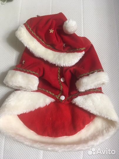 Костюм на собачку