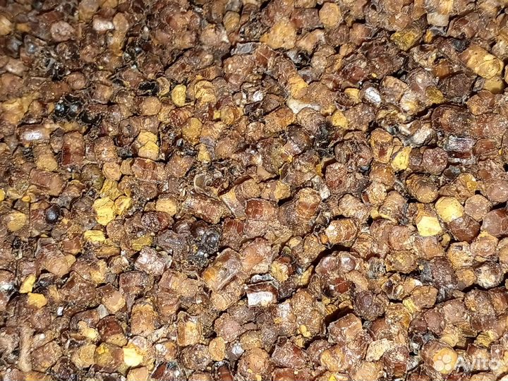 Перга пчелиная