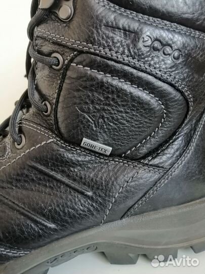 Ecco xpedition II, 44