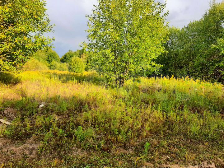 Участок 12 сот. (ИЖС)