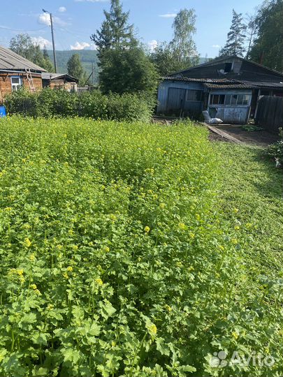 Скашиваю траву,на даче и в частном доме,подьезды