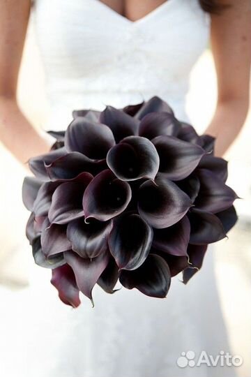 Букет невесты с каллами черными свадебные цветы