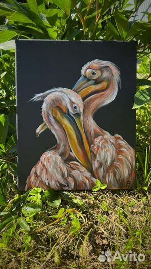 Картина розовый пеликан