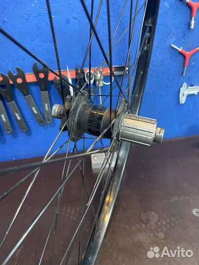 Вилсет 29 specialized