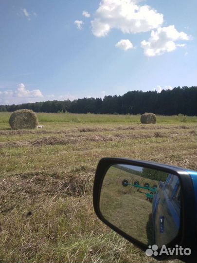 Сено в тюках