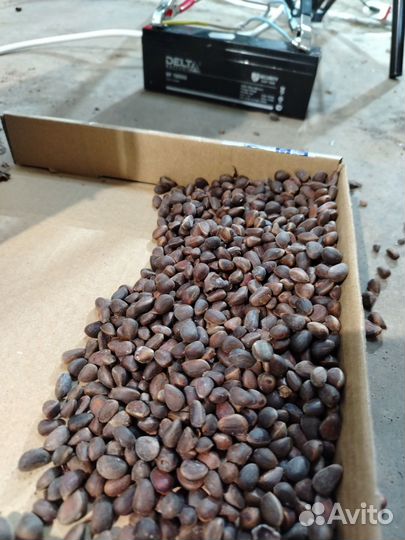 Шишкомолка шишкодробилка станок для шишек 12V