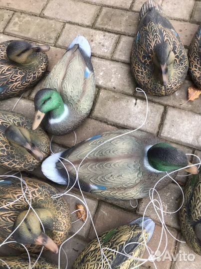 Чучела уток