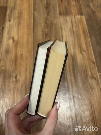 Коты воители Пророчество синей звезды