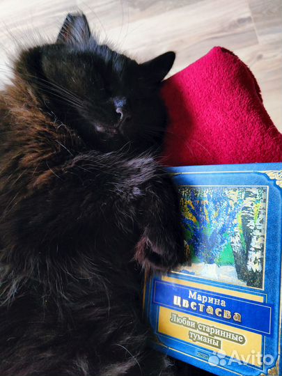 Книга М. Цветаева Любви старинные туманы