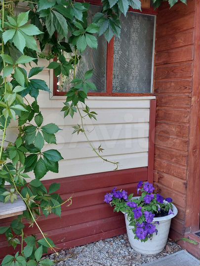 Дача 49 м² на участке 4 сот.