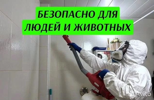 Уничтожение тараканов клопов Дезинфекция Травля