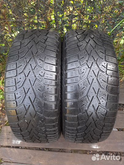 Gislaved NordFrost 100 205/60 R16