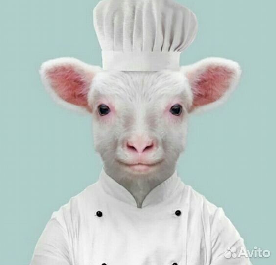 Козье молоко