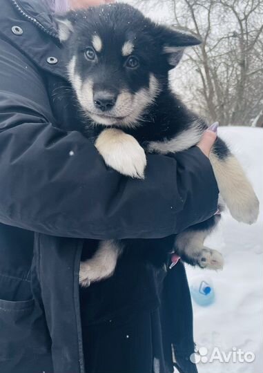 Супер детки