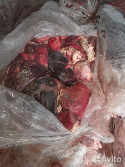 Мясо для собак