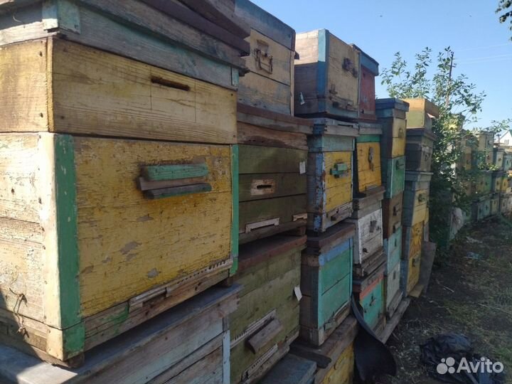 Улей для пчел