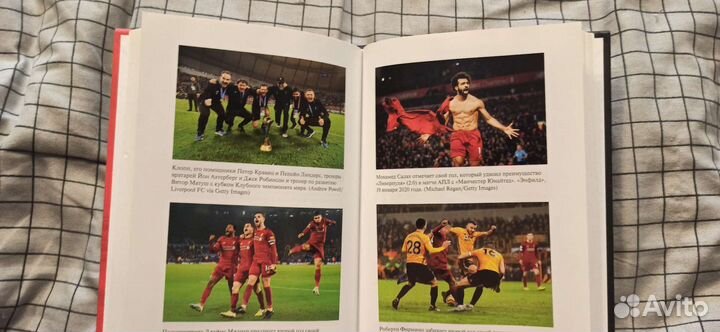 Мелисса Редди. 