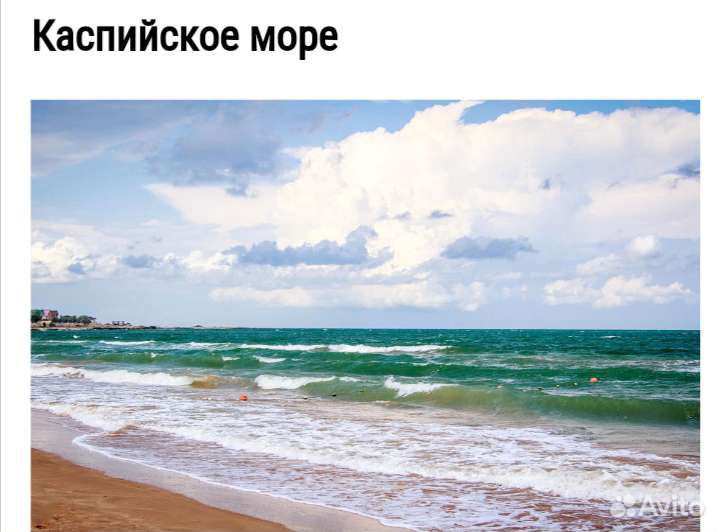 Экскурсии,такси