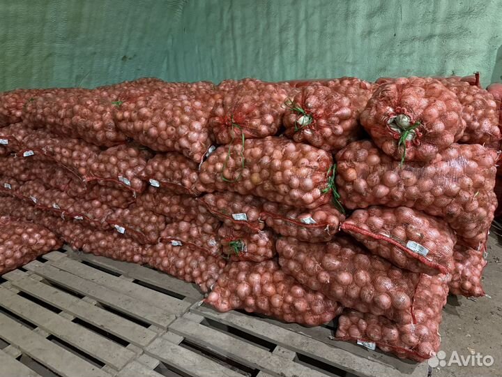 Продаю лук белый