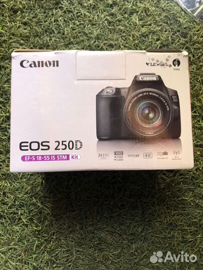 Зеркальный фотоаппарат canon eos 250d