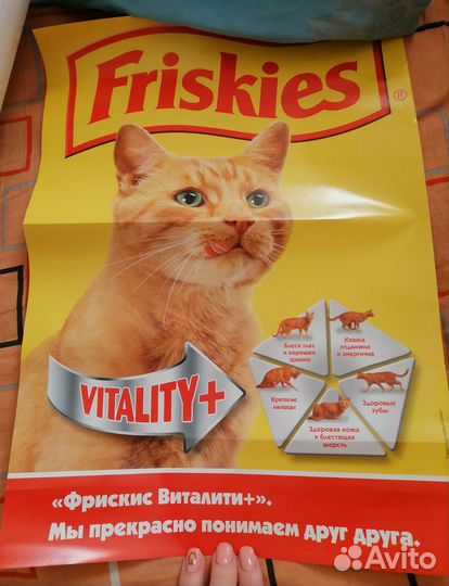 Наклейки-реклама кормов для животных