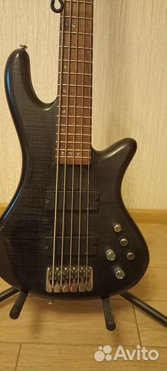 Schecter stiletto studio-5