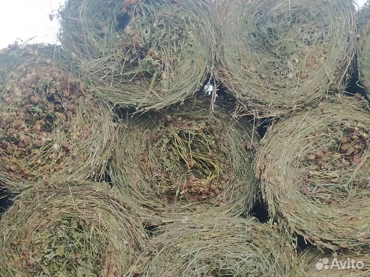 Разнотравье