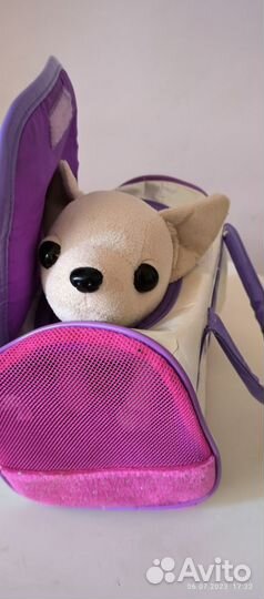 Собачка Chi chi love (забронирована до 25 июля)