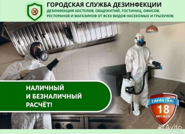 Уничтожение клопов тараканов мышей блох муравьёв