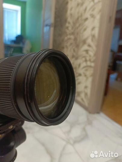 Sigma 70-200 apo os nikon