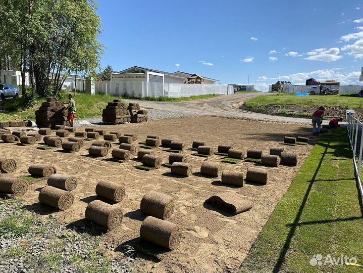 Отличный газон спортивный