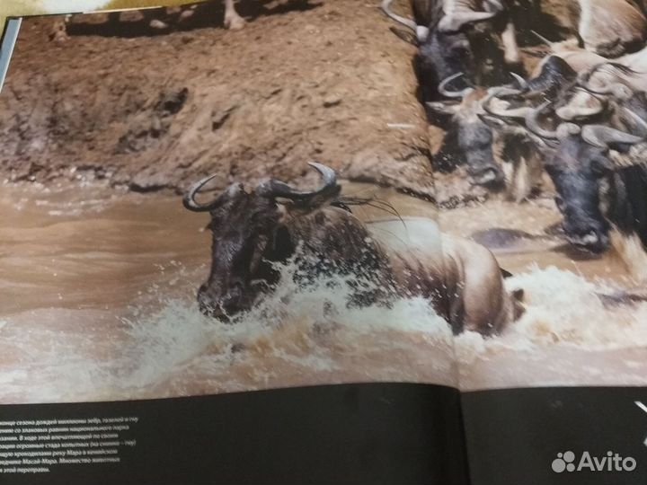 Познавательна книга для детей 5 лет