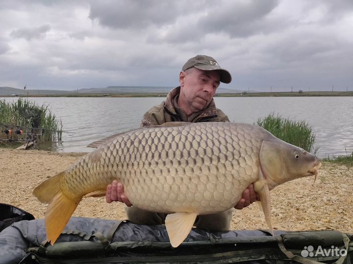 Чуфа(тигровый орех) отборный 12-16мм Испания 10кг