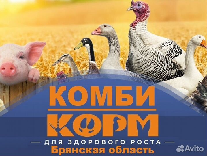 Комбикорм