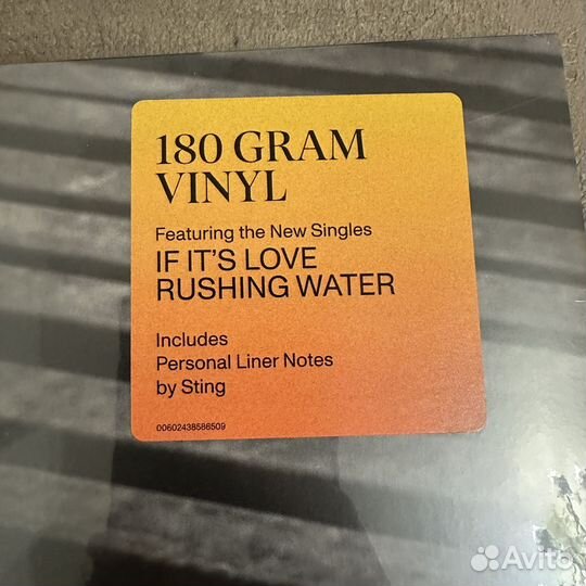 Sting SS - the Bridge Germany