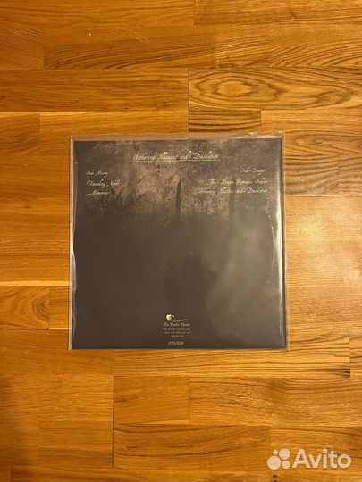 Винил Austere – Withering Illusions And Desolation