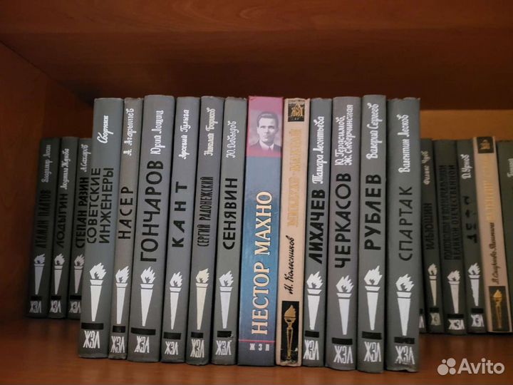 Жзл 46 кн.,Жизнь Ренуара Анри Перрюшо