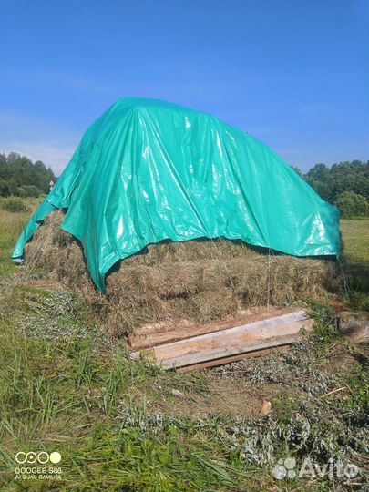 Сено в тюках