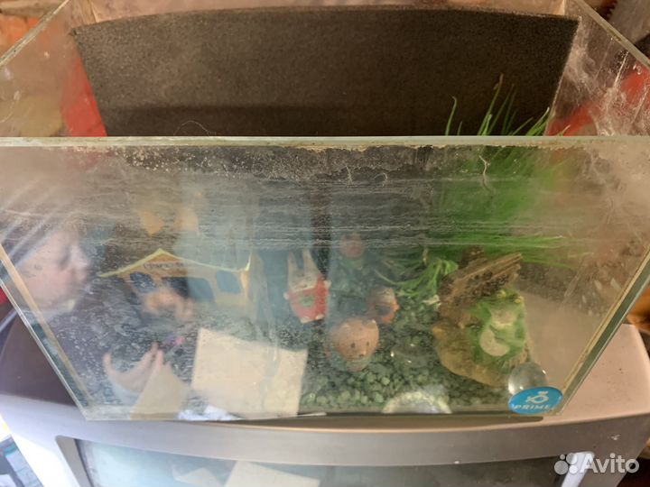 Аквариум 3л
