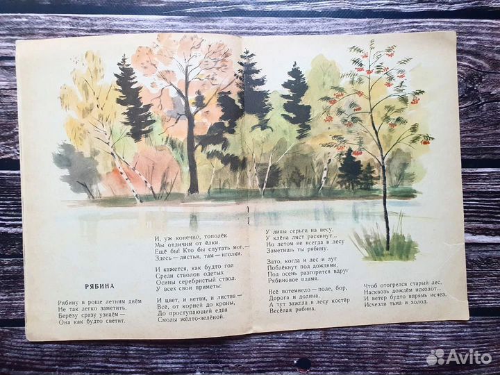 Телесин. Плюх - Плих 1964 г