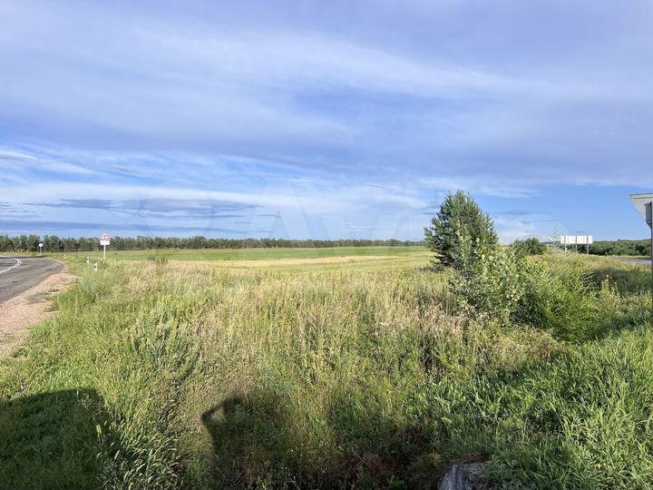 Участок 67699,77 га (СНТ, ДНП)